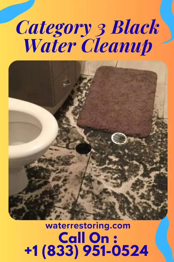 Category 3 Black Water Cleanup in Deer Park, TX