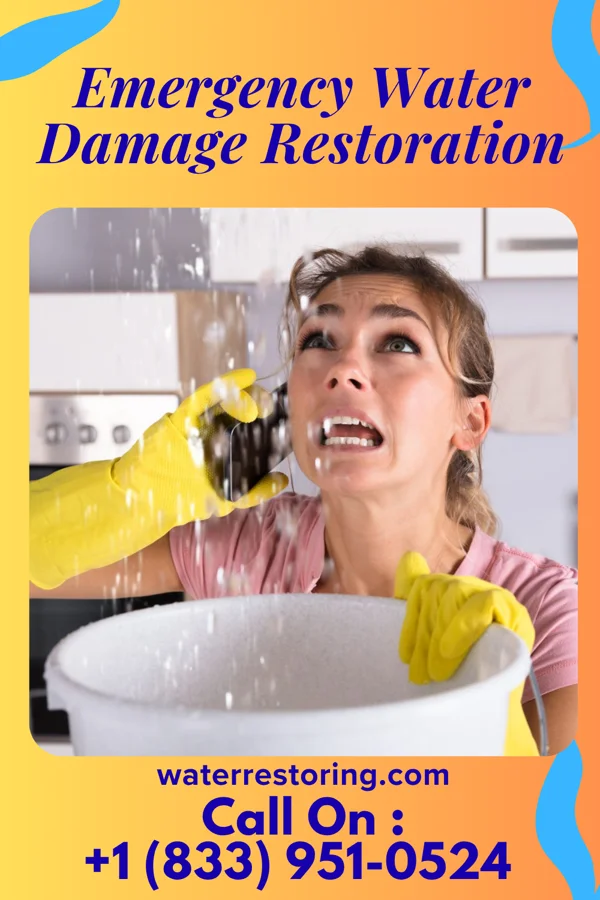 Emergency Water Damage Restoration in Deer Park, TX