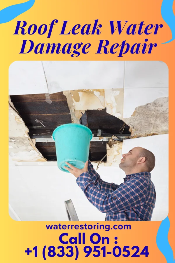 Roof Leak Water Damage Repair in Deer Park, TX